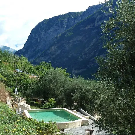Le Mont D'olivine Guest house *