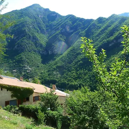 Le Mont D'olivine *