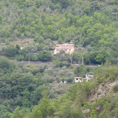 Le Mont D'olivine Utelle